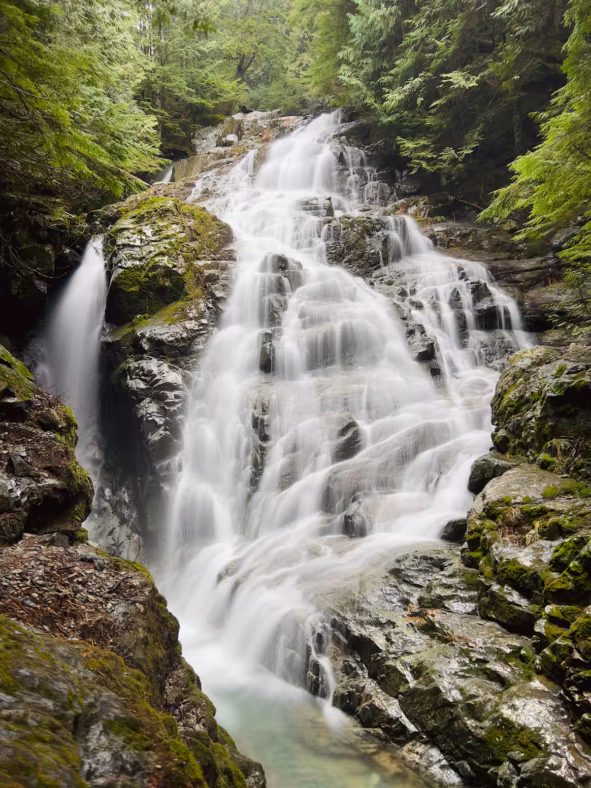 Water pouring over mossy rock